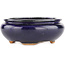 Oval blue bonsai pot by Hattori - 120 x 102 x 45 mm