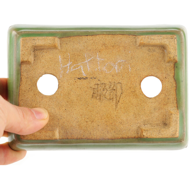 Vaso bonsai rettangolare verde craquelé di Hattori - 130 x 90 x 36 mm