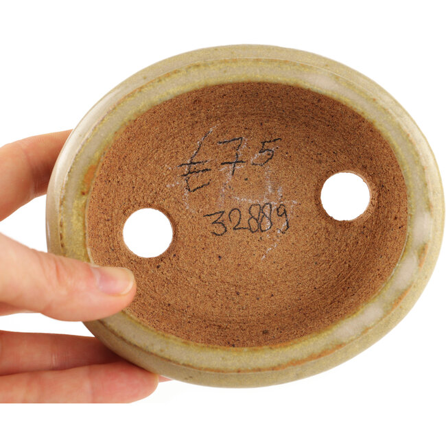 Pot à bonsaï ovale blanc cassé par Hattori - 116 x 101 x 47 mm