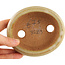 Ovale gebroken witte bonsaipot van Hattori - 116 x 101 x 47 mm