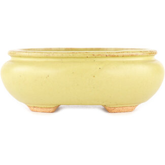  Hattori Tomoyuki 120 mm oval yellow bonsai pot by Hattori, Tokoname, Japan