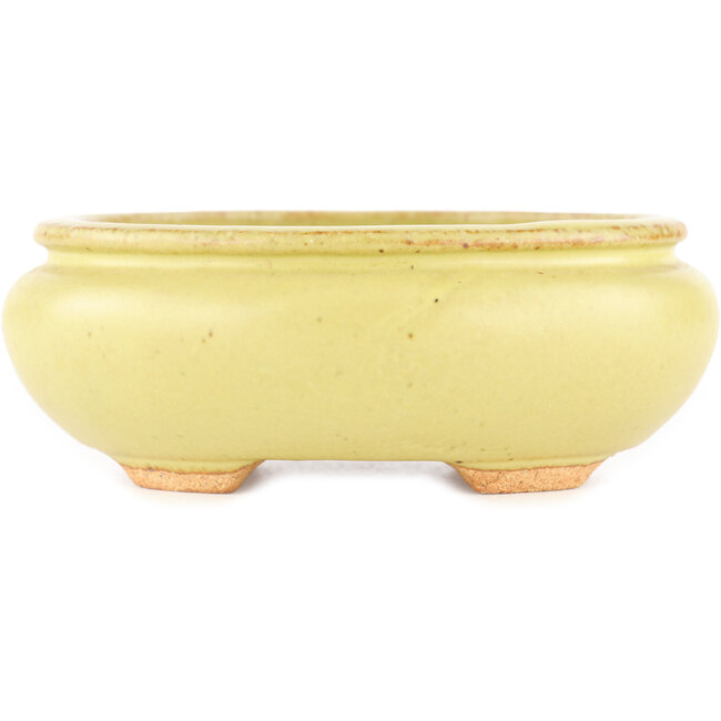 Vaso bonsai ovale giallo di Hattori - 120 x 100 x 43 mm