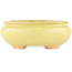 Vaso bonsai ovale giallo di Hattori - 120 x 100 x 43 mm