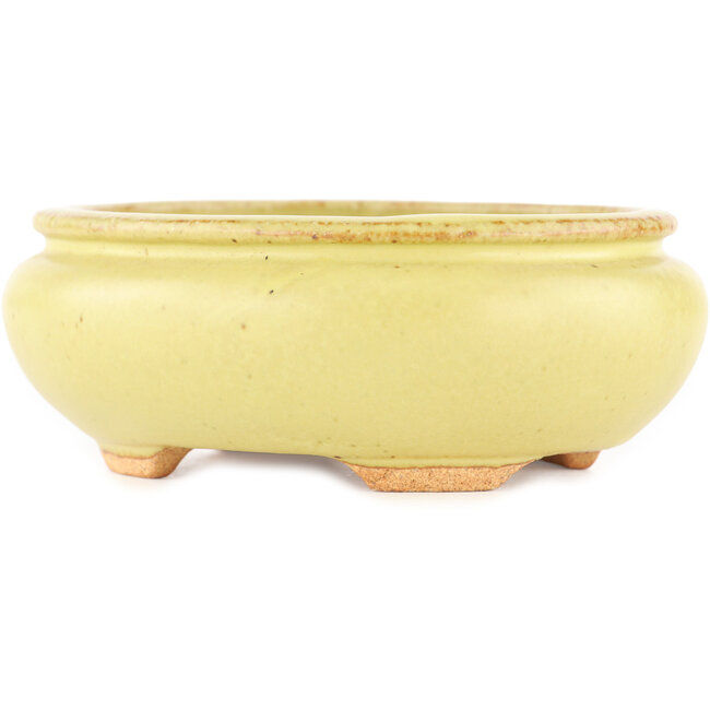 Pot à bonsaï ovale jaune de Hattori - 120 x 100 x 43 mm