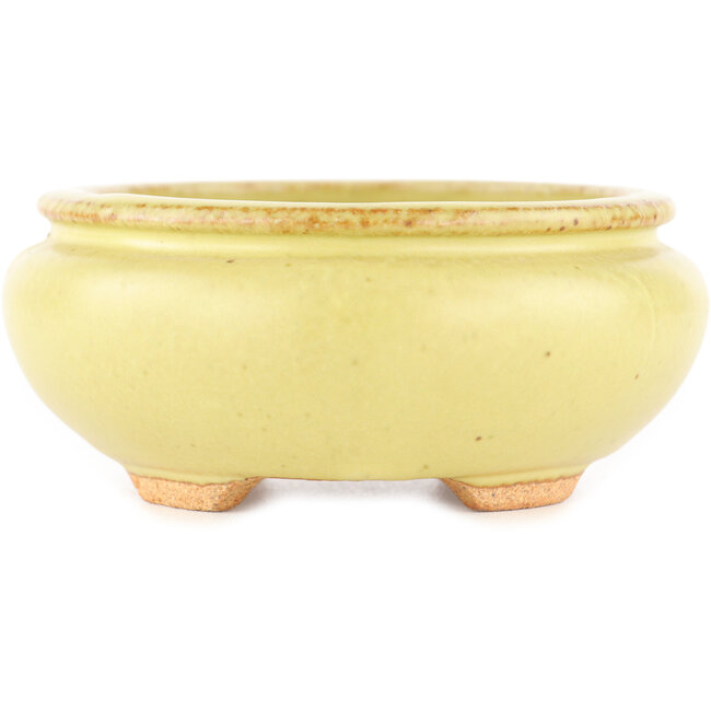 Pot à bonsaï ovale jaune de Hattori - 120 x 100 x 43 mm