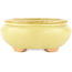 Pot à bonsaï ovale jaune de Hattori - 120 x 100 x 43 mm
