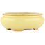 Pot à bonsaï ovale jaune de Hattori - 120 x 100 x 43 mm