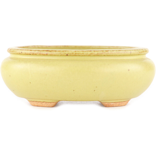 Vaso bonsai ovale giallo di Hattori - 120 x 100 x 43 mm