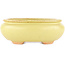 Vaso bonsai ovale giallo di Hattori - 120 x 100 x 43 mm