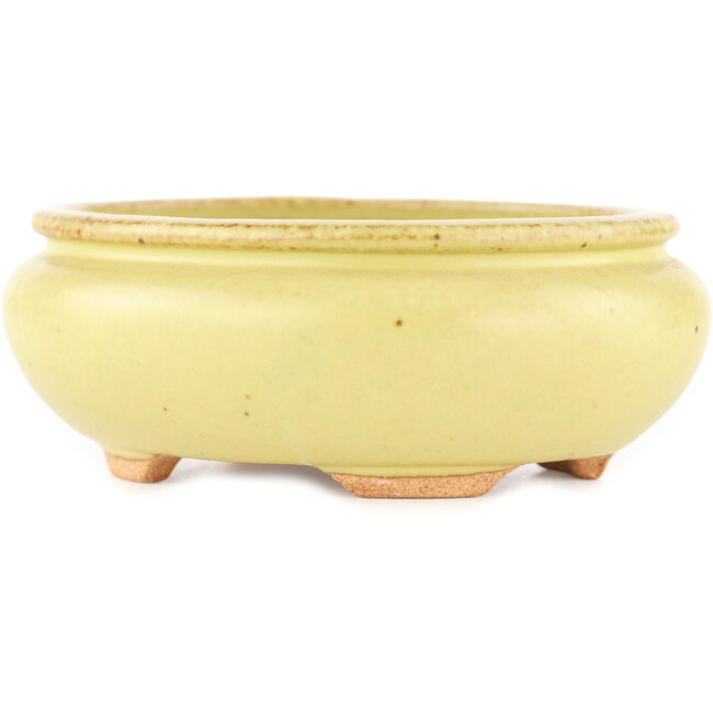 Pot à bonsaï ovale jaune de Hattori - 120 x 100 x 43 mm