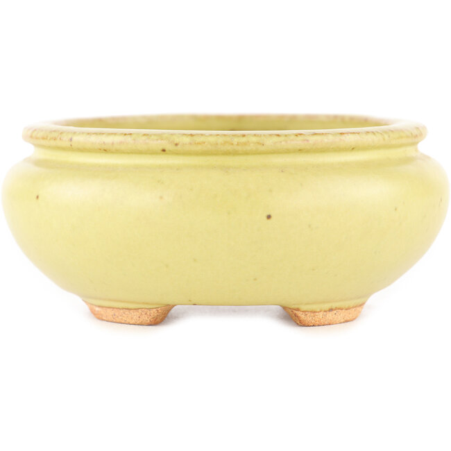 Vaso bonsai ovale giallo di Hattori - 120 x 100 x 43 mm