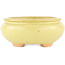 Pot à bonsaï ovale jaune de Hattori - 120 x 100 x 43 mm