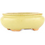 Pot à bonsaï ovale jaune de Hattori - 120 x 100 x 43 mm