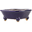 Square blue bonsai pot by Hattori - 104 x 103 x 40 mm