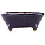 Square blue bonsai pot by Hattori - 104 x 103 x 40 mm