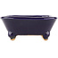 Square blue bonsai pot by Hattori - 104 x 103 x 40 mm