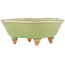 Square green craquelé bonsai pot by Hattori - 105 x 103 x 45 mm