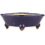 Square blue bonsai pot by Hattori - 104 x 103 x 40 mm