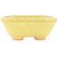 Pot à bonsaï carré jaune de Hattori - 104 x 103 x 40 mm