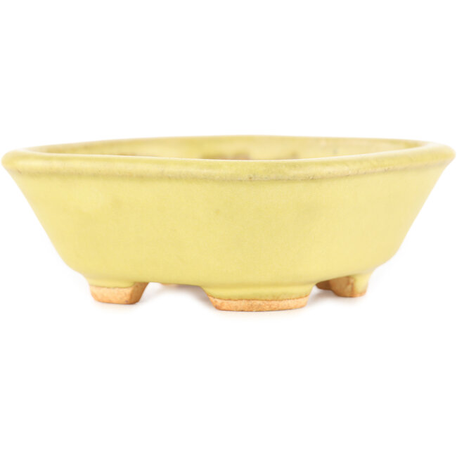 Square yellow bonsai pot by Hattori - 104 x 103 x 40 mm