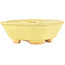 Square yellow bonsai pot by Hattori - 104 x 103 x 40 mm