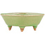Vierkante groene craquelé bonsai pot van Hattori - 105 x 103 x 45 mm
