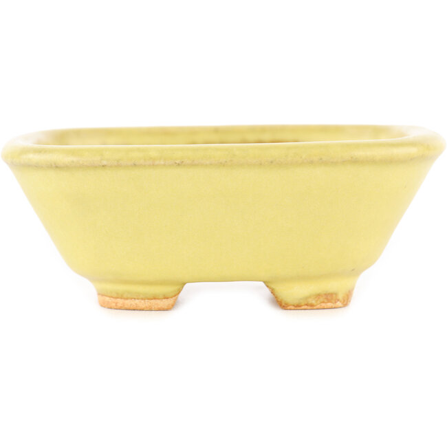 Pot à bonsaï carré jaune de Hattori - 104 x 103 x 40 mm