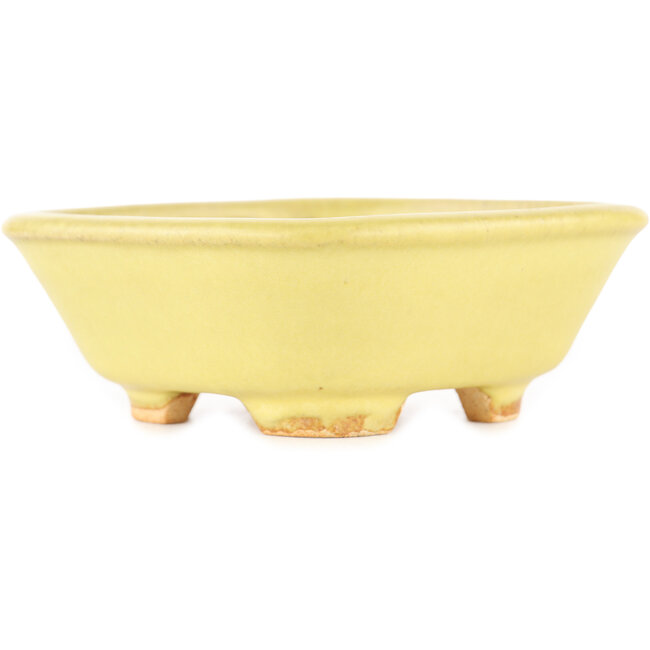 Vaso bonsai quadrato giallo di Hattori - 104 x 103 x 40 mm