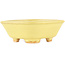 Square yellow bonsai pot by Hattori - 104 x 103 x 40 mm
