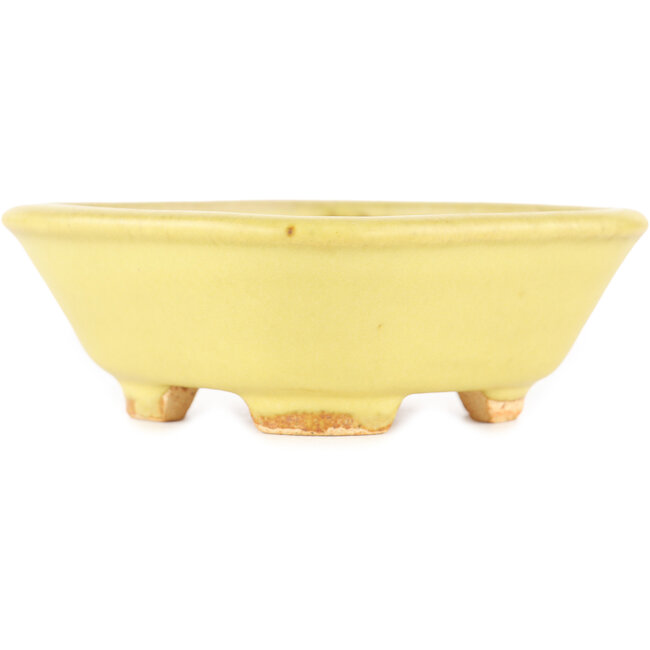 Pot à bonsaï carré jaune de Hattori - 104 x 103 x 40 mm