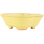 Vierkante gele bonsai pot van Hattori - 104 x 103 x 40 mm