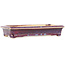 Rectangular multicolor red bonsai pot by Biko - 152 x 75 x 27 mm