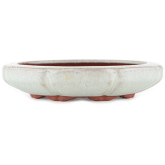  Eimei ( Yozan kiln) Maceta redonda para bonsái azul de 154 mm de Eime Yozan, Tokoname, Japón