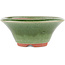Maceta redonda verde para bonsái de Eime Yozan - 130 x 130 x 55 mm