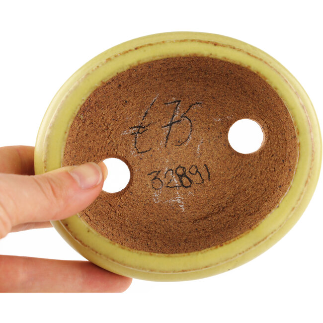 Vaso bonsai ovale giallo di Hattori - 120 x 100 x 43 mm