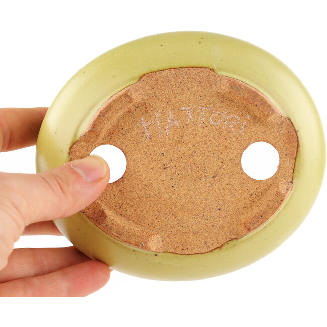 Maceta ovalada amarilla para bonsái de Hattori - 120 x 100 x 43 mm