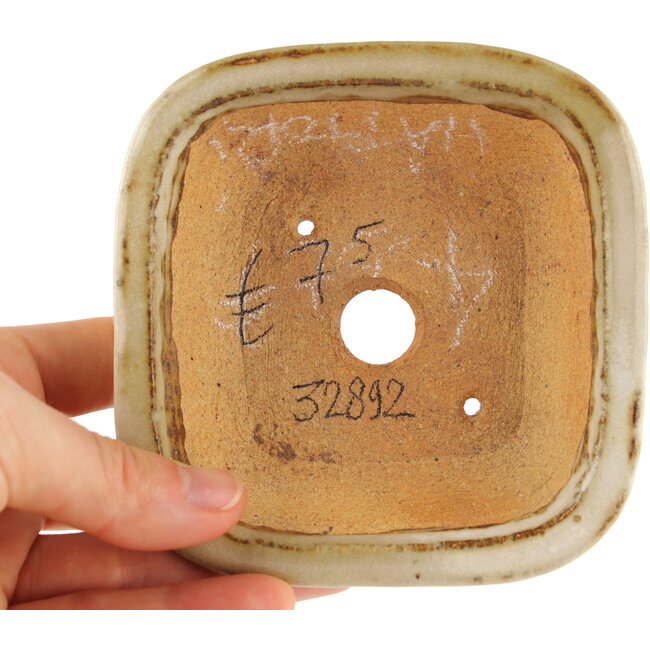 Pot à bonsaï carré blanc de Hattori - 102 x 104 x 45 mm