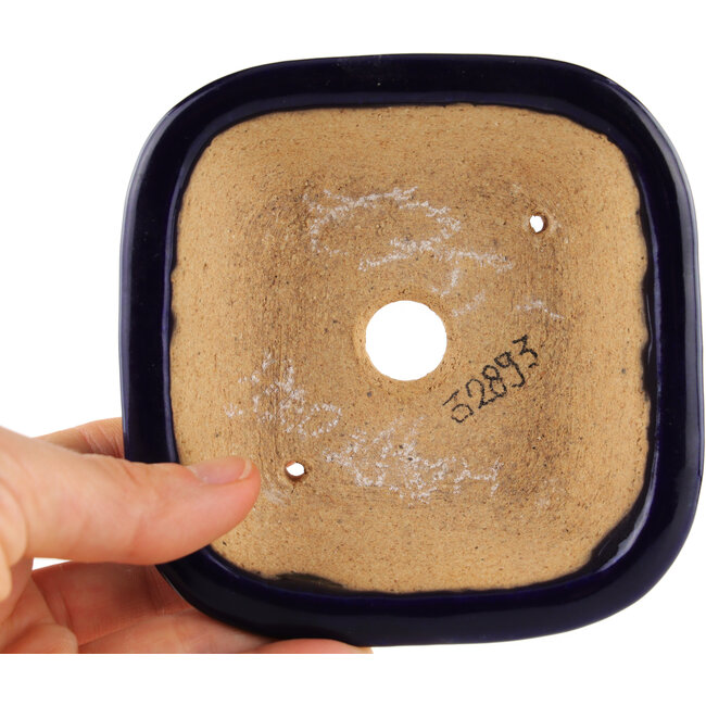 Vaso bonsai quadrato blu di Hattori - 104 x 103 x 40 mm