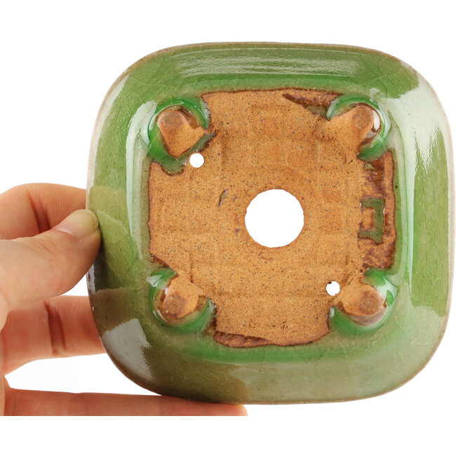 Square green craquelé bonsai pot by Hattori - 105 x 103 x 45 mm