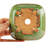 Pot à bonsaï carré vert craquelé par Hattori - 105 x 103 x 45 mm