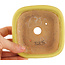 Pot à bonsaï carré jaune de Hattori - 104 x 103 x 40 mm
