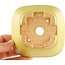 Square yellow bonsai pot by Hattori - 104 x 103 x 40 mm