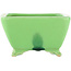 Pot à bonsaï carré vert de Seizan - 99 x 97 x 55 mm