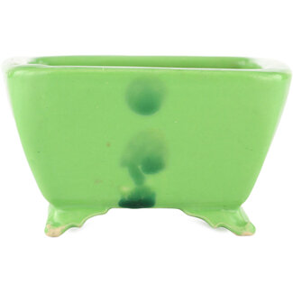 Seizan Pot à bonsaï carré jaune de 103 mm de Seizan, Japon