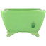 Pot à bonsaï carré vert de Seizan - 99 x 97 x 55 mm