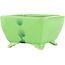 Pot à bonsaï carré jaune de Seizan - 103 x 104 x 57 mm