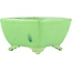 Pot à bonsaï carré vert de Seizan - 99 x 97 x 55 mm