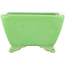 Pot à bonsaï carré vert de Seizan - 99 x 97 x 55 mm