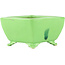 Pot à bonsaï carré jaune de Seizan - 103 x 104 x 57 mm