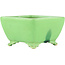 Pot à bonsaï carré vert de Seizan - 99 x 97 x 55 mm